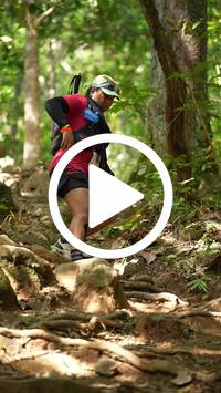 BIB:  <button type="button" onclick="openModal(27587884)" class="btn btn-primary btn-sm float-right" data-toggle="modal" data-target=".modal-high-quality">
                <i class="fa fa-download"></i> Download
                </button>